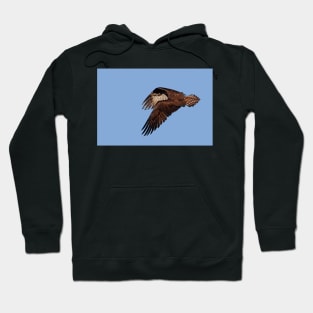 Headless Osprey? Hoodie